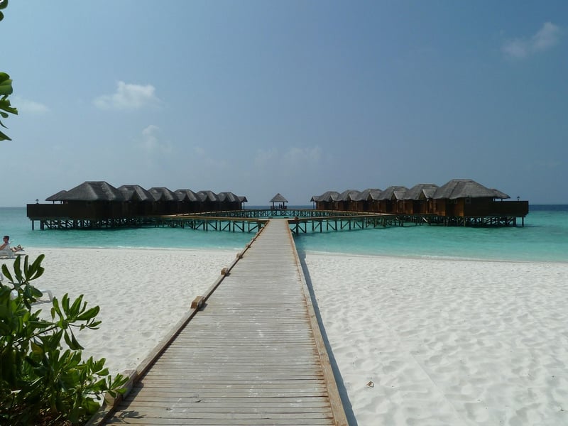 Treetop Bungalows